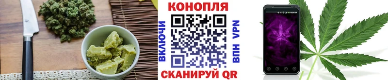 Canna-Cookies марихуана  Суздаль 