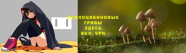 герыч Новодвинск