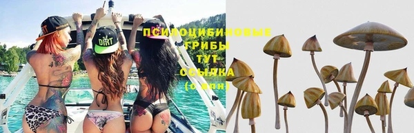 герыч Новодвинск