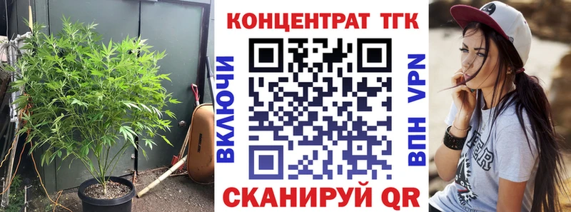 цена наркотик  Суздаль  Дистиллят ТГК вейп с тгк 